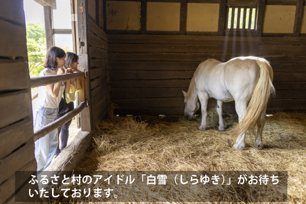 肝煎りの家（きもいりのいえ）