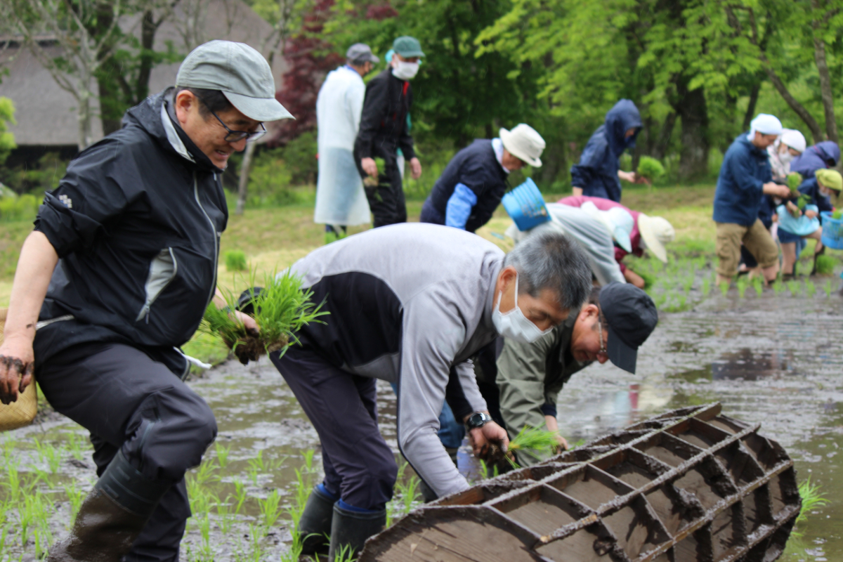 ふるさと村の村づくり　昔ながらの田植え会