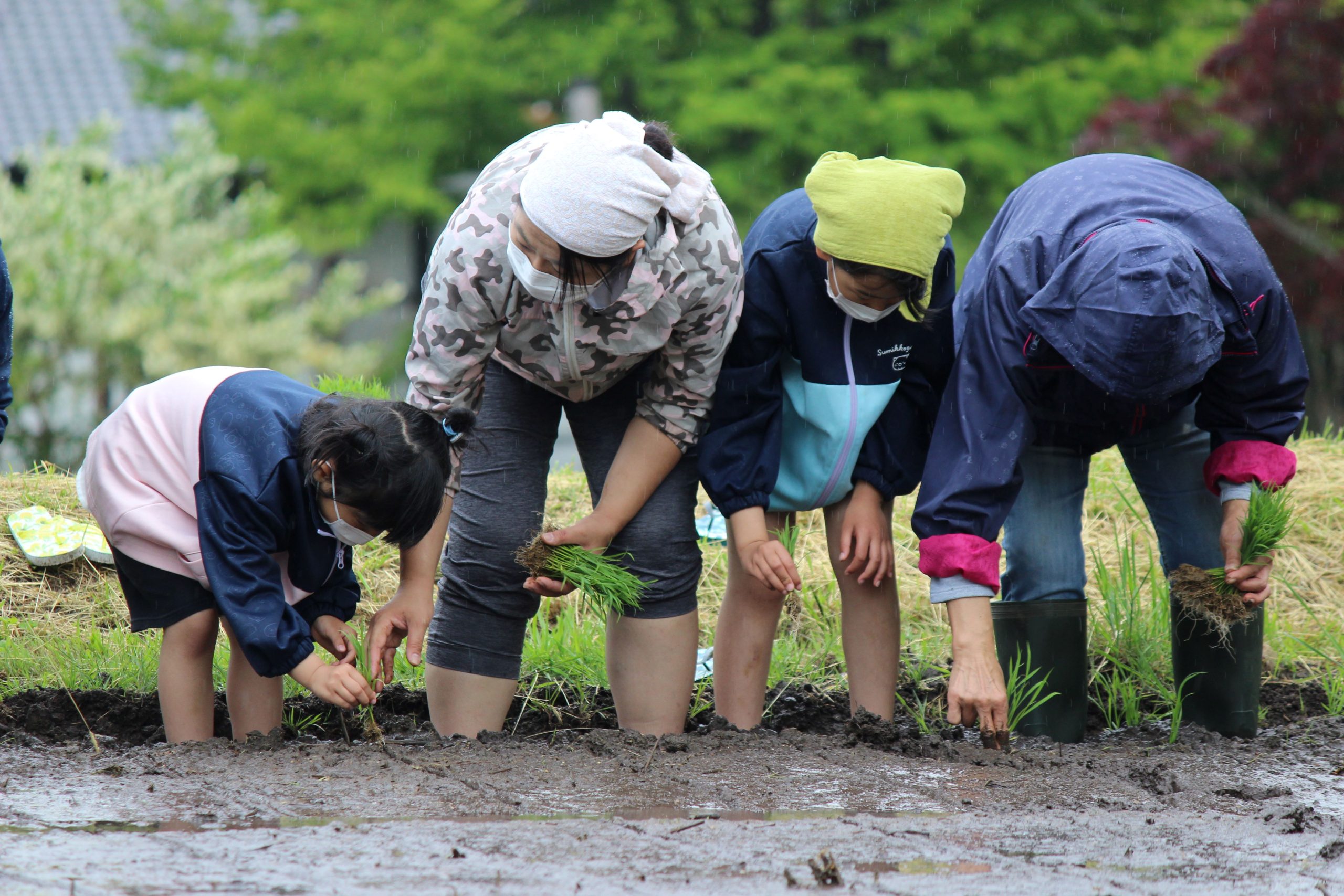 ふるさと村の村づくり 昔ながらの田植え会 参加募集中!